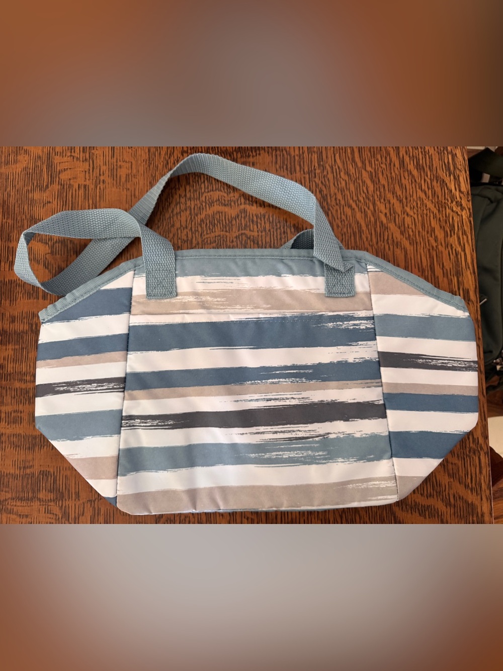 Striped Canvas Thermal Bag in Blue & Tan